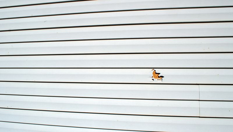 Completed Vinyl Siding Repair Project